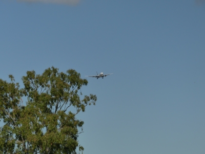 P1070841