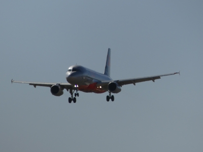 P1190008