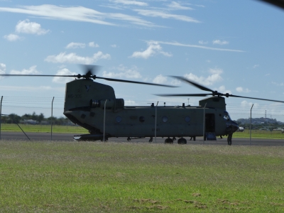 A15-305