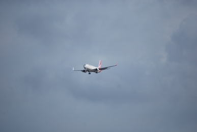 DSC_0746