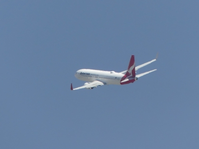 P1190404