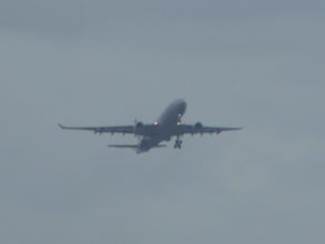 P1190964