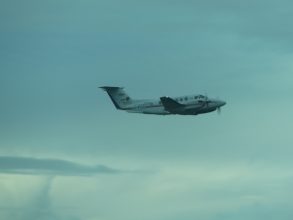 P1150619