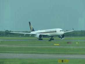 P1150454