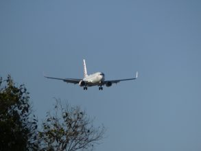 P1180935